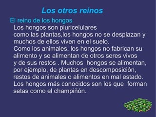 Los otros reinos
El reino de los hongos
Los hongos son pluricelulares
como las plantas,los hongos no se desplazan y
muchos de ellos viven en el suelo.
Como los animales, los hongos no fabrican su
alimento y se alimentan de otros seres vivos
y de sus restos . Muchos hongos se alimentan,
por ejemplo, de plantas en descomposición,
restos de animales o alimentos en mal estado.
Los hongos más conocidos son los que forman
setas como el champiñón.

 