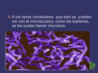➲

A los seres unicelulares que solo se pueden
ver con el microscopios, como las bacterias,
se les suelan llamar microbios.

 
