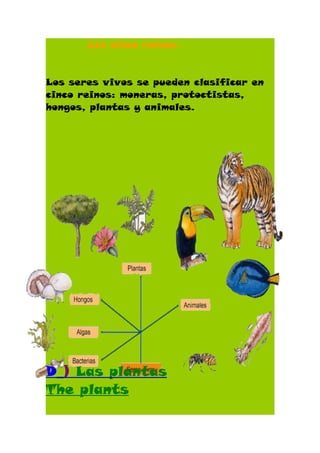 Los cinco reinos.


Los seres vivos se pueden clasificar en
cinco reinos: moneras, protoctistas,
hongos, plantas y animales.




D_) Las plantas
The plants
 