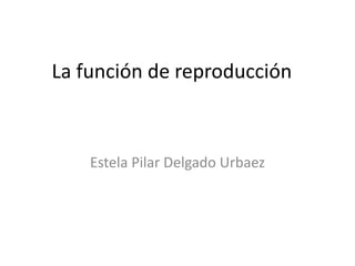 La función de reproducción



    Estela Pilar Delgado Urbaez
 