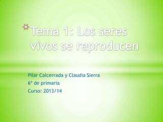 Pilar Calcerrada y Claudia Sierra
6º de primaria
Curso: 2013/14
 