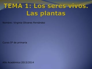 Nombre: Virginia Olivares Fernández

Curso:5º de primaria

Año Académico:2013/2014

 