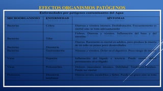 Enfermedades por patógenos contaminantes del Agua
MICROORGANISMO ENFERMEDAD SÍNTOMAS
Bacterias Cólera Diarreas y vómitos intensos. Deshidratación. Frecuentemente es
mortal sino se trata adecuadamente
Bacterias Tifus
Fiebres. Diarreas y vómitos. Inflamación del bazo y del
intestino.
Bacterias Disentería
Diarrea. Raramente es mortal en adultos, pero produce la muerte
de un niño en países poco desarrollados
Bacterias Gastroenteritis Náuseas y vómitos. Dolor en el digestivo. Poco riesgo de muerte
Virus Hepatitis Inflamación del hígado e ictericia. Puede causar daños
permanentes en el Hígado.
Virus Poliomielitis Dolores musculares intensos. Debilidad. Temblores.Parálisis.
Puede ser mortal
Protozoos Disentería
amebiana
Diarrea severa, escalofríos y fiebre. Puede ser grave sino se trata
EFECTOS ORGANISMOS PATÓGENOS
 