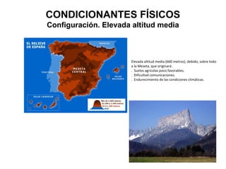 Tema 1 EL ESPACIO GEOGRAFICO ESPAÑOL: DIVERSIDAD GEOMORFOLÓGICA
La singularidad Geográfica de España
D – La configuración ...