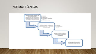 NORMAS TÉCNICAS
 