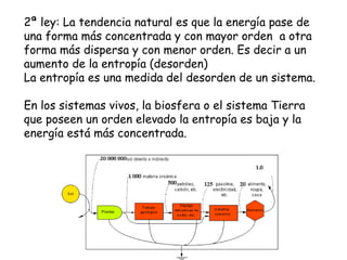 2ª ley: La tendencia natural es que la energía pase de una forma más concentrada y con mayor orden  a otra forma más dispersa y con menor orden. Es decir a un aumento de la entropía (desorden) La entropía es una medida del desorden de un sistema.  En los sistemas vivos, la biosfera o el sistema Tierra que poseen un orden elevado la entropía es baja y la energía está más concentrada.  
