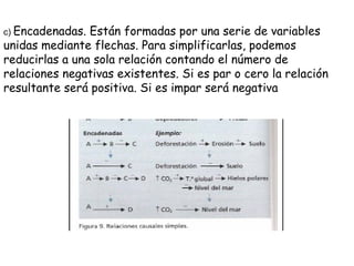 c)  Encadenadas. Están formadas por una serie de variables unidas mediante flechas. Para simplificarlas, podemos reducirlas a una sola relación contando el número de relaciones negativas existentes. Si es par o cero la relación resultante será positiva. Si es impar será negativa 