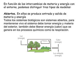 En función de los intercambios de materia y energía con el entorno, podemos distinguir tres tipos de modelos: Abiertos.  En ellos se produce entrada y salida de materia y energía Todos los sistemas biológicos son sistemas abiertos, para mantenerse vivo el sistema debe tomar energía y materia del exterior, también debe liberar energía (calor) que se genera en los procesos químicos como la respiración .  