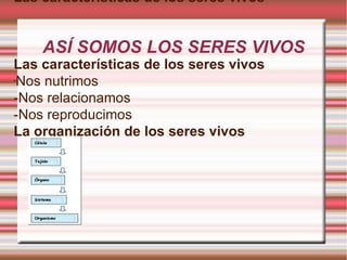 Las características de los seres vivos


    ASÍ SOMOS LOS SERES VIVOS
Las características de los seres vivos
-
  Nos nutrimos
-Nos relacionamos
-Nos reproducimos
La organización de los seres vivos
 