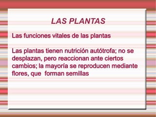 LAS PLANTAS
 