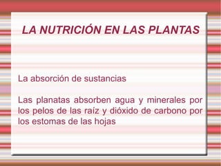LA NUTRICIÓN EN LAS PLANTAS



La absorción de sustancias

Las planatas absorben agua y minerales por
los pelos de las raíz y dióxido de carbono por
los estomas de las hojas
 