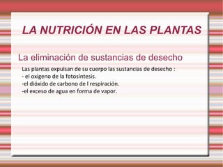 LA NUTRICIÓN EN LAS PLANTAS La eliminación de sustancias de desecho Las plantas expulsan de su cuerpo las sustancias de desecho :  - el oxigeno de la fotosíntesis. -el dióxido de carbono de l respiración. -el exceso de agua en forma de vapor. 