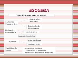 ESQUEMA 