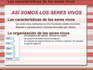 ASÍ SOMOS LOS SERES VIVOS Las características de los seres vivos Las características de los seres vivos La organización de los seres vivos Los seres vivos realizamos las tres funciones vitales (nutrición, Relación y reproducción) y estamos formados por células. Un conjunto de tejido forman los órganos . Un conjunto de órganos forman los sistemas y aparatos. Por ejemplo El aparato digestivo . Un conjunto de células  forman un tejido  