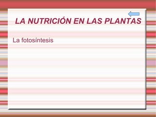 LA NUTRICIÓN EN LAS PLANTAS La fotosíntesis