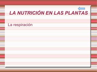 LA NUTRICIÓN EN LAS PLANTAS La respiración
