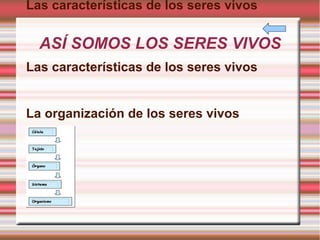 ASÍ SOMOS LOS SERES VIVOS Las características de los seres vivos Las características de los seres vivos La organización de los seres vivos
