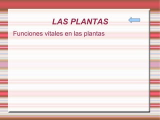 LAS PLANTAS Funciones vitales en las plantas