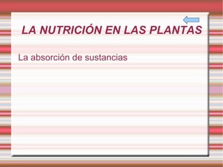 LA NUTRICIÓN EN LAS PLANTAS La absorción de sustancias