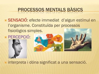 PROCESSOS MENTALS BÀSICS
 SENSACIÓ: efecte immediat d’algun estímul en
l’organisme. Constituïda per processos
fisiològics simples.
 PERCEPCIÓ:
 interpreta i dóna significat a una sensació.
 