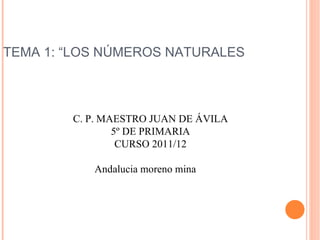 C. P. MAESTRO JUAN DE ÁVILA 5º DE PRIMARIA CURSO 2011/12 Andalucia moreno mina  TEMA 1: “LOS NÚMEROS NATURALES 