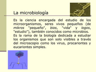 La microbiología
Es la ciencia encargada del estudio de los
microorganismos, seres vivos pequeños (de
mikros "pequeño", bios, "vida" y logos,
"estudio"), también conocidos como microbios.
Es la rama de la biología dedicada a estudiar
los organismos que son solo visibles a través
del microscopio como los virus, procariontes y
eucariontes simples.
 