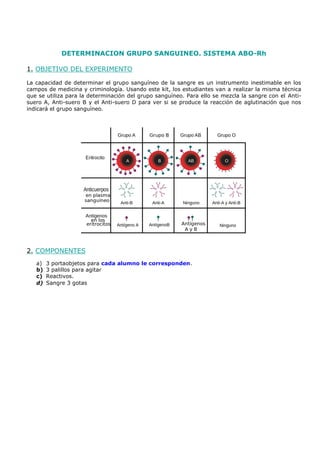 DETERMINACION GRUPO SANGUINEO. SISTEMA ABO-Rh
1. OBJETIVO DEL EXPERIMENTO
La capacidad de determinar el grupo sanguíneo de la sangre es un instrumento inestimable en los
campos de medicina y criminología. Usando este kit, los estudiantes van a realizar la misma técnica
que se utiliza para la determinación del grupo sanguíneo. Para ello se mezcla la sangre con el Anti-
suero A, Anti-suero B y el Anti-suero D para ver si se produce la reacción de aglutinación que nos
indicará el grupo sanguíneo.
2. COMPONENTES
a) 3 portaobjetos para cada alumno le corresponden.
b) 3 palillos para agitar
c) Reactivos.
d) Sangre 3 gotas
 