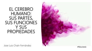 EL CEREBRO
HUMANO:
SUS PARTES,
SUS FUNCIONES
Y SUS
PROPIEDADES
#Neuroedu
Jose Luis Chaín Fernández
 