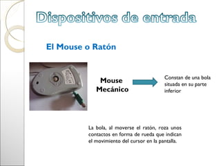 El Mouse o Ratón


                                         Constan de una bola
             Mouse                       situada en su parte
            Mecánico                     inferior




         La bola, al moverse el ratón, roza unos
         contactos en forma de rueda que indican
         el movimiento del cursor en la pantalla.
 