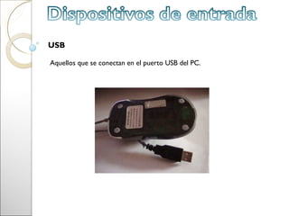 USB

Aquellos que se conectan en el puerto USB del PC.
 