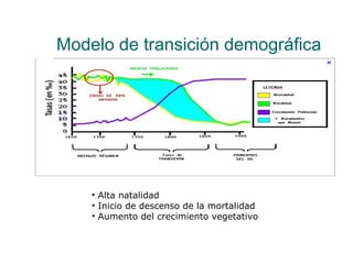 Modelo de transición demográfica




    • Alta natalidad
    • Inicio de descenso de la mortalidad
    • Aumento del crecimiento vegetativo
 