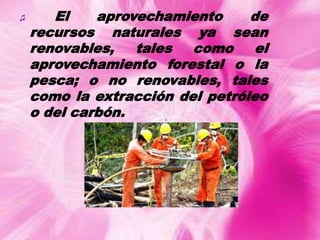 ♫

El
aprovechamiento
de
recursos naturales ya sean
renovables,
tales
como
el
aprovechamiento forestal o la
pesca; o no renovables, tales
como la extracción del petróleo
o del carbón.

 
