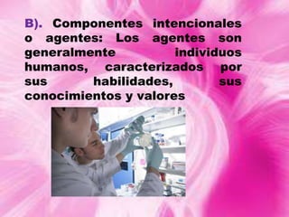 B). Componentes intencionales
o agentes: Los agentes son
generalmente
individuos
humanos, caracterizados por
sus
habilidades,
sus
conocimientos y valores

 
