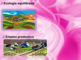 ♫ Ecología equilibrada

♫ Empleo productivo

 