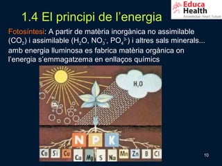 1.4 El principi de l’energia
Fotosíntesi: A partir de matèria inorgànica no assimilable
(CO2) i assimilable (H2O, NO3-, PO43-) i altres sals minerals...
amb energia lluminosa es fabrica matèria orgànica on
l’energia s’emmagatzema en enllaços químics




                                                               10
 