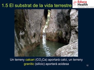 1.5 El substrat de la vida terrestre




    Un terreny calcari (CO3Ca) aportarà calci, un terreny
              granític (silícic) aportarà acidesa           12
 
