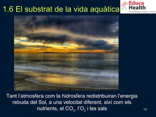 1.6 El substrat de la vida aquàtica




 Tant l’atmosfera com la hidrosfera redistribuiran l’energia
   rebuda del Sol, a una velocitat diferent, així com els
              nutrients, el CO2, l’O2 i les sals               13
 