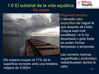 1.6 El substrat de la vida aquàtica
                    Els oceans
                                       Regulació tèrmica:
                                       L’elevada calor
                                       específica de l’aigua fa
                                       que després de l’estiu
                                       (l’aigua està molt
                                       escalfada) i si hi ha
                                       llevantada o gota freda
                                       es poden formar
                                       tempestes o temporals

                                      Les corrents marines
Els oceans ocupen el 71% de la        (superficials i profundes)
superfície terrestre amb una fondària redistribueixen també la
mitjana de 4.000m                     calor
                                                            14
 