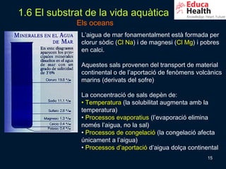 1.6 El substrat de la vida aquàtica
             Els oceans
              L’aigua de mar fonamentalment està formada per
              clorur sòdic (Cl Na) i de magnesi (Cl Mg) i pobres
              en calci.

              Aquestes sals provenen del transport de material
              continental o de l’aportació de fenòmens volcànics
              marins (derivats del sofre)

              La concentració de sals depèn de:
              • Temperatura (la solubilitat augmenta amb la
              temperatura)
              • Processos evaporatius (l’evaporació elimina
              només l’aigua, no la sal)
              • Processos de congelació (la congelació afecta
              únicament a l’aigua)
              • Processos d’aportació d’aigua dolça continental
                                                           15
 