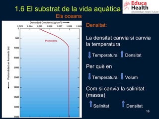 1.6 El substrat de la vida aquàtica
             Els oceans
                          Densitat:

                          La densitat canvia si canvia
                          la temperatura

                            Temperatura    Densitat

                          Per què en

                            Temperatura    Volum

                          Com si canvia la salinitat
                          (massa)

                             Salinitat     Densitat
                                                       16
 