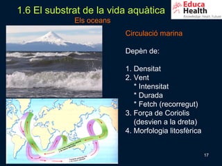 1.6 El substrat de la vida aquàtica
             Els oceans
                          Circulació marina

                          Depèn de:

                          1. Densitat
                          2. Vent
                             * Intensitat
                             * Durada
                             * Fetch (recorregut)
                          3. Força de Coriolis
                             (desvien a la dreta)
                          4. Morfologia litosfèrica


                                                      17
 