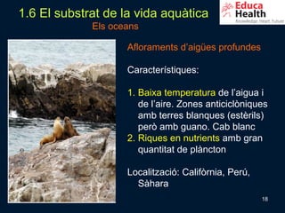 1.6 El substrat de la vida aquàtica
             Els oceans

                    Afloraments d’aigües profundes

                    Característiques:

                    1. Baixa temperatura de l’aigua i
                       de l’aire. Zones anticiclòniques
                       amb terres blanques (estèrils)
                       però amb guano. Cab blanc
                    2. Riques en nutrients amb gran
                       quantitat de plàncton

                    Localització: Califòrnia, Perú,
                      Sàhara
                                                      18
 