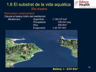 1.6 El substrat de la vida aquàtica
                          Els oceans
Renovació i estancament
Calcula el balanç hídric del mediterrani
   Mediterrani:             Superfície     1.150·103 km2
                            Precipitació        700 l/m2·any
                            Rius                300 Km3
                            Evaporació     1,32·106 Hm3




                                                               19
                                           Balanç = -215 Km3
 