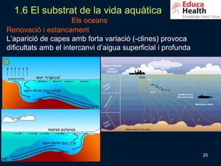 1.6 El substrat de la vida aquàtica
                      Els oceans
Renovació i estancament
L’aparició de capes amb forta variació (-clines) provoca
dificultats amb el intercanvi d’aigua superficial i profunda




                                                               20
 