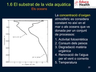 1.6 El substrat de la vida aquàtica
             Els oceans
                          La concentració d’oxigen
                          atmosfèric es considera
                          constant no així en el
                          mar o als oceans que ve
                          donada per un conjunt
                          de processos:
                          1. Activitat fotosintètica
                          2. Consum dels peixos
                          3. Degradació matèria
                             orgànica
                          4. Renovació de l’aigua
                             per el vent o corrents
                          5. Temperatura
                                                   22
 