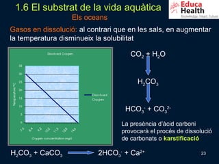1.6 El substrat de la vida aquàtica
                   Els oceans
Gasos en dissolució: al contrari que en les sals, en augmentar
la temperatura disminueix la solubilitat

                                     CO2 + H2O


                                       H2CO3


                                   HCO3- + CO32-
                                  La presència d’àcid carboni
                                  provocarà el procés de dissolució
                                  de carbonats o karstificació

H2CO3 + CaCO3              2HCO3- + Ca2+                       23
 