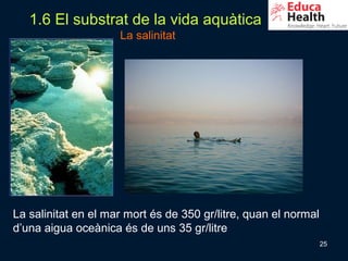 1.6 El substrat de la vida aquàtica
                     La salinitat




La salinitat en el mar mort és de 350 gr/litre, quan el normal
d’una aigua oceànica és de uns 35 gr/litre
                                                                 25
 