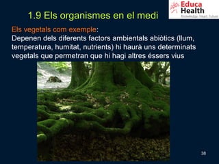1.9 Els organismes en el medi
Els vegetals com exemple:
Depenen dels diferents factors ambientals abiòtics (llum,
temperatura, humitat, nutrients) hi haurà uns determinats
vegetals que permetran que hi hagi altres éssers vius




                                                            38
 