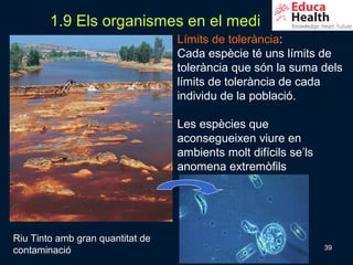 1.9 Els organismes en el medi
                                  Límits de tolerància:
                                  Cada espècie té uns límits de
                                  tolerància que són la suma dels
                                  límits de tolerància de cada
                                  individu de la població.

                                  Les espècies que
                                  aconsegueixen viure en
                                  ambients molt difícils se’ls
                                  anomena extremòfils




Riu Tinto amb gran quantitat de
contaminació                                                     39
 