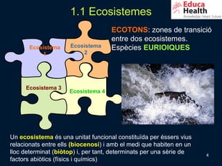 1.1 Ecosistemes
                                    ECOTONS: zones de transició
                                    entre dos ecosistemes.
       Ecosistema    Ecosistema     Espècies EURIOIQUES
           1             2




     Ecosistema 3
                     Ecosistema 4




Un ecosistema és una unitat funcional constituïda per éssers vius
relacionats entre ells (biocenosi) i amb el medi que habiten en un
lloc determinat (biòtop) i, per tant, determinats per una sèrie de   4
factors abiòtics (físics i químics)
 
